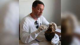 Hace 90 años se hallaron 14 individuos enterrados en la necrópolis de Wari Kayan (Perú). Ahora se conoce la alimentación de estos miembros de la cultura paracas, gracias a un equipo internacional de científicos 