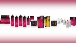 Periche nace de la ilusión y dedicación de un niño de 11 años que empezó a trabajar en una fábrica de productos para peluqueros. Aspiraciones que se harían realidad en 1969, año en el que el hombre pisaba la Luna por primera vez 