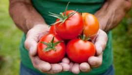 Una de las principales causas para estar bella es el hecho de parecer más joven. El binomio nutrición-antienvejecimiento adquiere relevancia, según la doctora Montserrat Folch, en el 29º Congreso de Estética de Cosmobelleza 2015