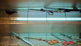 Respetar los principios de higiene evita la propagación de microorganismos patogénicos. Sin embargo, algunos peluqueros y maquilladores se centran en el servicio a sus clientes y pasan por alto su salud y la higiene del salón