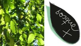 Creada por X-presion Creativos, este proyecto nace del sector de la peluquería y de todo aquel que se desee involucrar. Se contribuye a la restauración de un terreno incendiado en el año 2009 