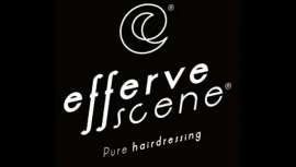 Cada año, Effervescene reúne a los/as peluqueros/as más destacados y vanguardistas del panorama español. Un espectáculo formativo en el que los peluqueros invitados explican, en directo, todas las técnicas usadas en sus últimos trabajos