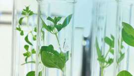 La compañía, especializada en la producción de productos de marca blanca, pretende reforzar su compromiso social y adecuarse a las claves estratégicas que sustentan su trayectoria