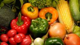 Un estudio de científicos del Instituto Buck sugiere que estas sustancias químicas pueden tener efectos negativos, durante la juventud, en el envejecimiento de la piel, mientras que los radicales libres ayudan a cicatrizar heridas