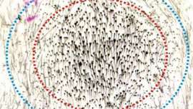 El plucking capilar potencia la regeneración capilar, tal y como se deduce de un estudio reciente. Y es que la caída del cabello empieza a ser un problema con el paso del tiempo