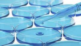 En colaboración con la Universidad Complutense de Madrid, realizó el I Curso Teórico-Práctico Intensivo de Microbiología Aplicada a la Cosmética para 24 alumnos 