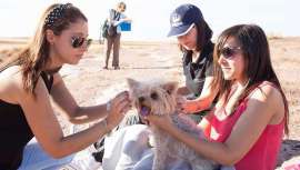 Esta nueva iniciativa de formación ha sido la responsable de la peluquería, maquillaje y caracterización de todos los actores participantes en este proyecto, dirigido por Hugo de la Riva 