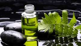 Cada vez está más en auge la cosmética natural, la cual es una alternativa lógica a la cosmética moderna, pues está elaborada en su mayor parte por componentes de origen vegetal