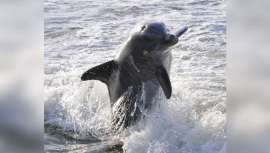 Los parabenos son fuente de polémica desde hace años en referencia, fundamentalmente, a la seguridad de su uso en productos de belleza