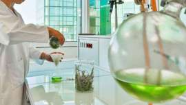 El laboratorio crea un programa de innovación abierto sin precedentes en el mundo, diseñado para compartir la experiencia en investigación, desarrollo e industrialización de activos de las plantas con proyectos innovadores privados y actores públicos