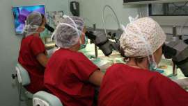 Tras casi 10 años de vida, esta técnica se ha convertido en la preferida en numerosos casos de autotrasplante de pelo, siempre que las expectativas del paciente, los condicionantes y las características sean las idóneas