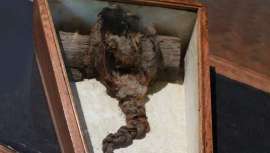 El cabello permanecía oculto dentro de un ataúd enterrado en una abadía inglesa. Se cree que podría haber pertenecido a una santa cuyo fallecimiento se produjo por debajo del año 1123