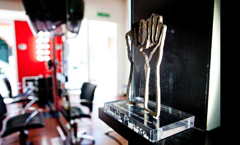Los Premios Picasso, galardones para los mejores peluqueros de Andalucía