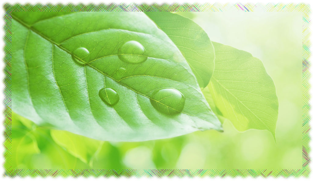 Muere Jean-Louis Déforges