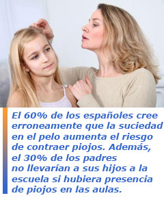 piojos pediculosis