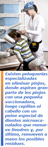 El piojo en la peluquería