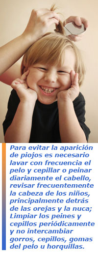 El piojo en la peluquería