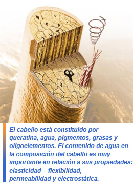 rehidratación del cabello