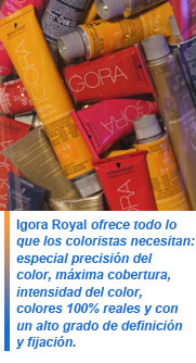 Essential Looks World Tour 2013