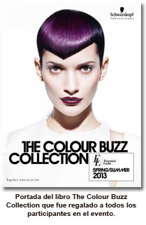 Essential Looks World Tour 2013