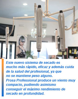 Prosa Professional