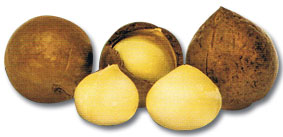 Macadamia Oils y Coconut Oil