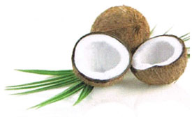 Macadamia Oils y Coconut Oil