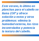 Plancha Termix 230º