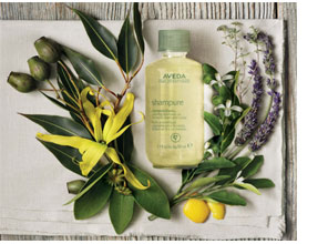 Shampure Composition de Aveda