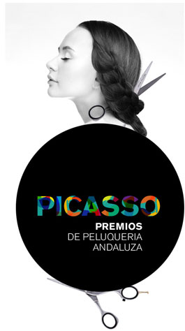Premios Picasso
