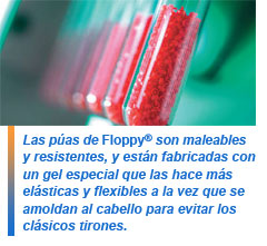 Cepillo Floppy
