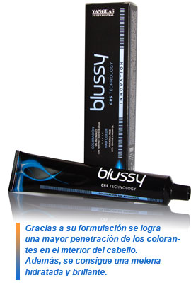 Blussy Hair de Yanguas Professional, el tinte sin amoniaco