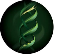 Absolue Kératine, de René Furterer