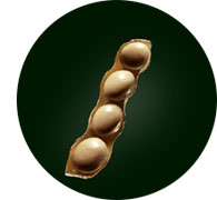 Absolue Kératine, de René Furterer