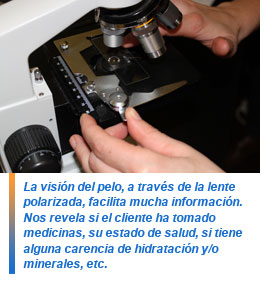 Método de estudio del cabello en salón Monterroso