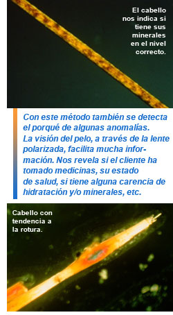 Método de estudio del cabello en el salón Monterroso