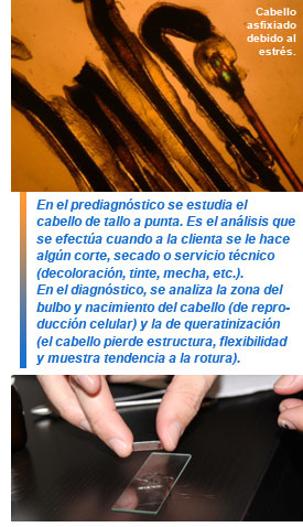 Método de estudio del cabello en salón Monterroso