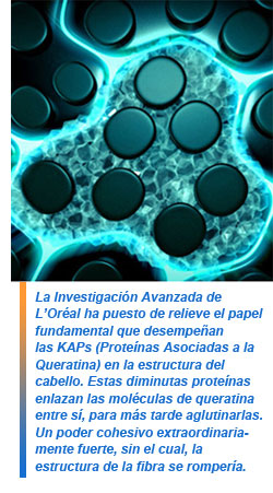 Thérapiste, tratamiento renovador de Kérastase