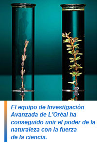 Thérapiste, tratamiento renovador de Kérastase