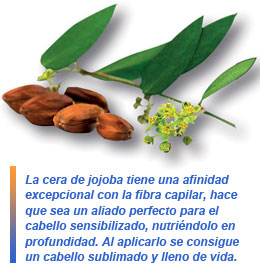 cera jojoba