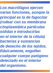 macrófagos y regeneración capilar