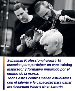 Sebastian Professional