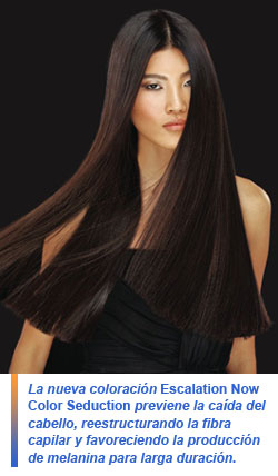 Escalation Now Color Seduction