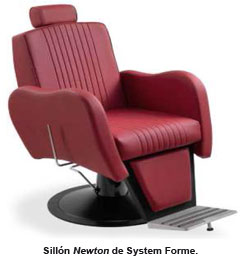 Newton de System Forme