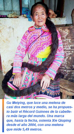 Gu Meiying
