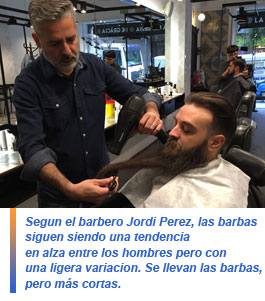 Cepillo para barba de termix
