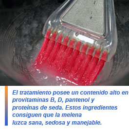 Tratamiento con células madre de argán