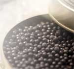 Dikson Luxury Caviar